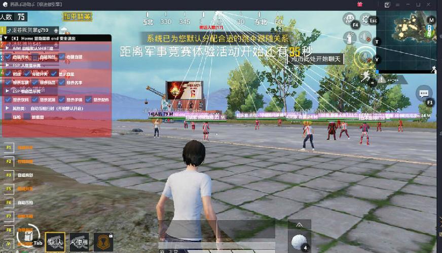 和平精英辅助市场：不法交易的暗流