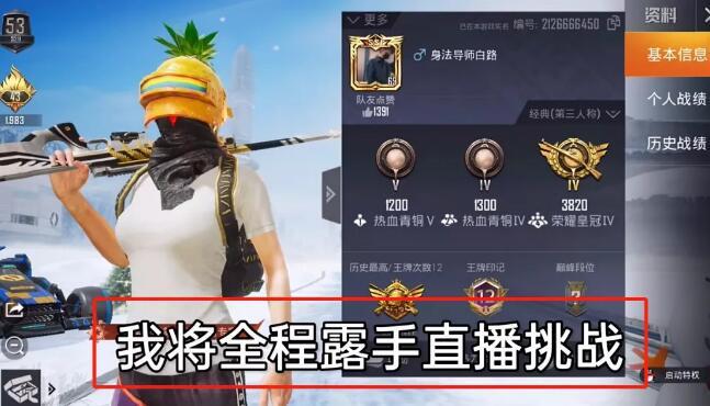 【神罚特别版】✅支持所有电脑系统，支持模拟器高清版。人物透视 锁死自瞄 射线方框 物资显示